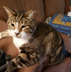 Meet your Posher, Wendy